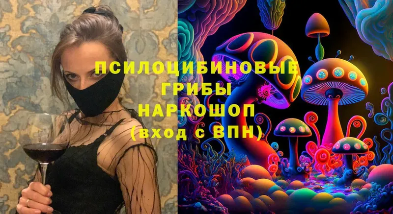 магазин    Ивангород  Галлюциногенные грибы Cubensis 